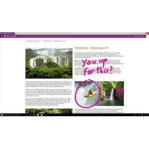 Microsoft Windows 10 Home (Per stuk)