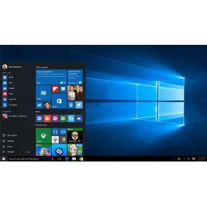 Microsoft Windows 10 Home (Per stuk)