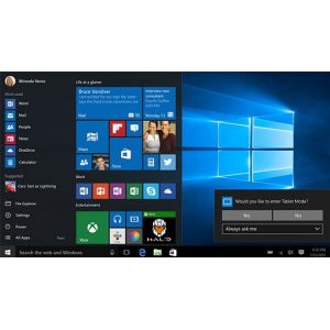Microsoft Windows 10 Home (Per stuk)