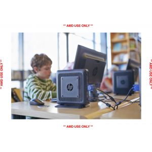 HP t620 flexibele thin client (Per stuk)