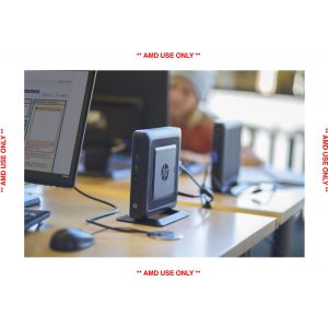 HP t620 flexibele thin client (Per stuk)