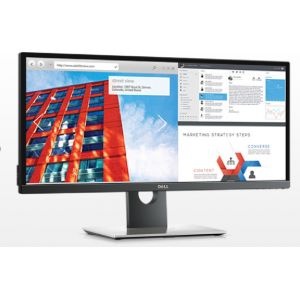 DELL UltraSharp U2917W 28.8" Wide Quad HD Mat Zwart computer monitor (Per stuk)