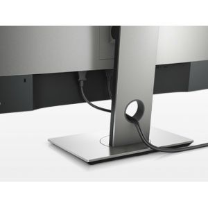 DELL UltraSharp U2917W 28.8" Wide Quad HD Mat Zwart computer monitor (Per stuk)