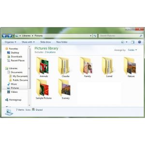 Microsoft Windows 7 Home Premium NL, DVD (Per stuk)