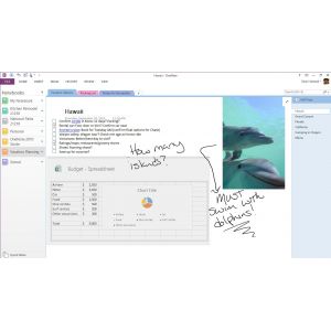 Microsoft Office 365 voor Thuisgebruik Premium (Per stuk)