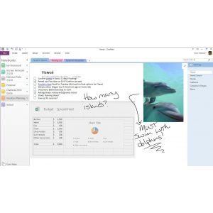 Microsoft Office 365 voor Thuisgebruik Premium (Per stuk)