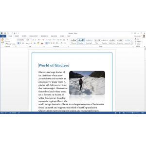 Microsoft Office 365 voor Thuisgebruik Premium (Per stuk)