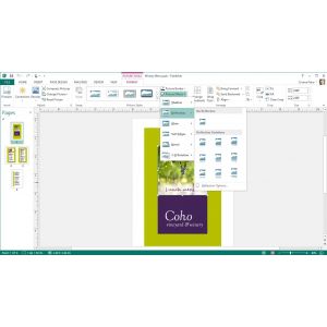 Microsoft Office 365 voor Thuisgebruik Premium (Per stuk)
