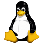 Linux Next Generation Webhosting large (Maand (1))
